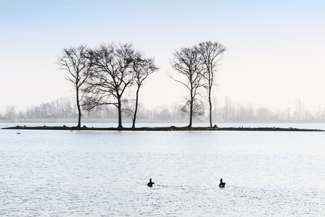 ReeuwijksePlas_2.jpg