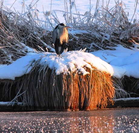 Prachtige winterse armoede.....