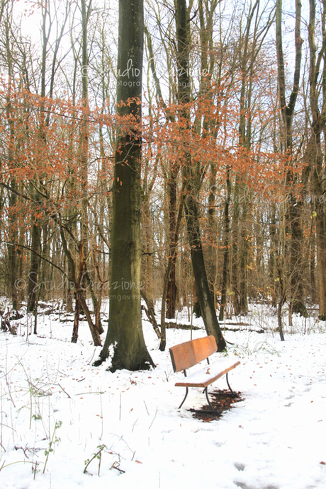 Lovely brown chair under a brown leaf roof