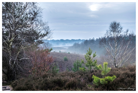 Posbank, veluwe