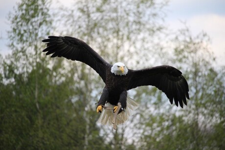 Beekse Bergen