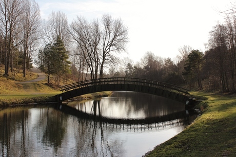 Amsterdamse waterleidingduinen.JPG