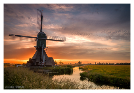 De middelste molen