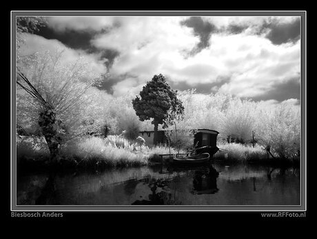 biesbosch anders