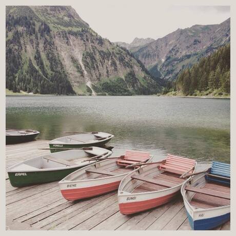 11749665_788025481314459_605810289_n