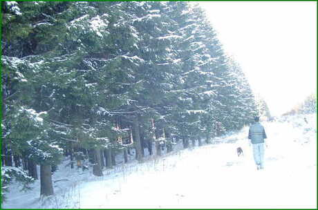 De Ardennen