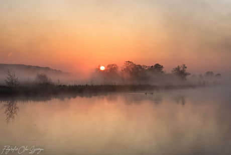 misty sunrise