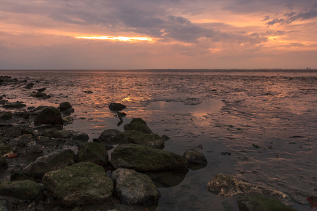 het wad