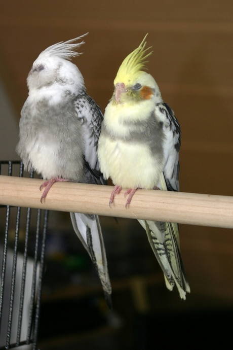 En dan gaan we weer slapen