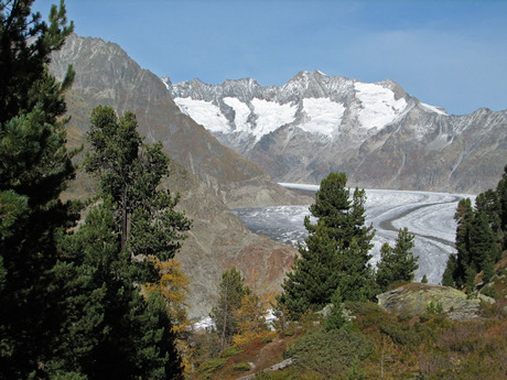 Aletsch gletscher