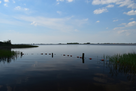 Zomerse dag