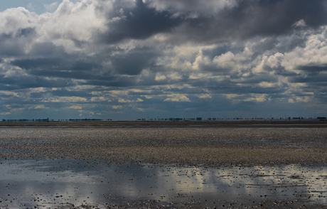 waddenzee