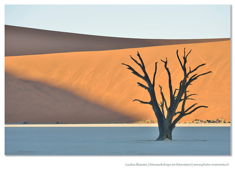 Icon of Deadvlei