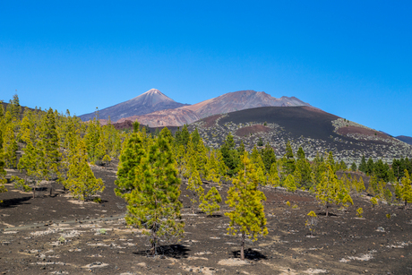 El Teide Tenerife