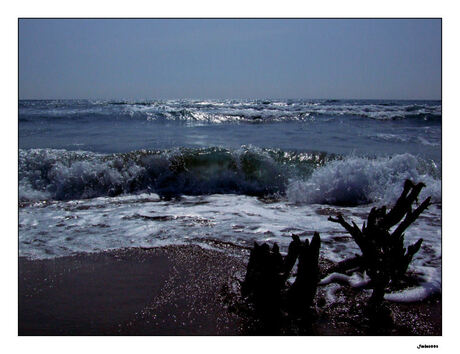 Wrakhout op het strand