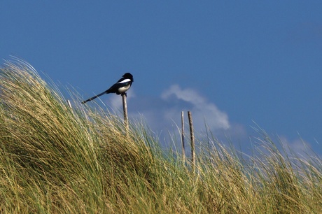 Zeeland