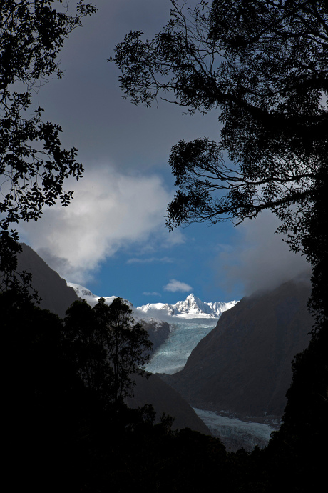 Fox Glacier