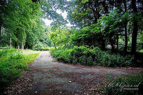 Wassenaar tuin landhuis