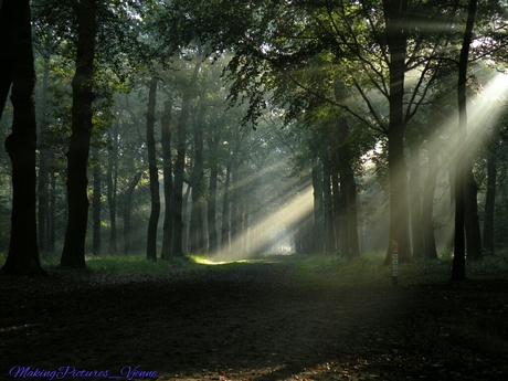 Ochtend zon op een prachtige herfst dag