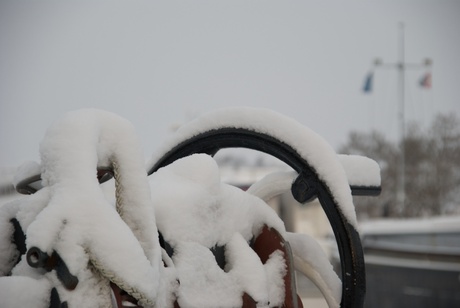 Besneeuwd schip - Harderwijk