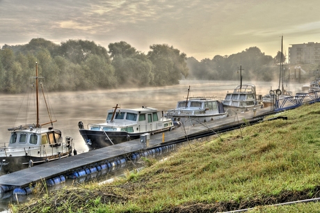 Linne aan de Maas