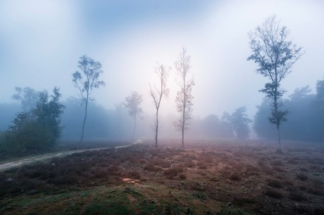 Mist van gisteren