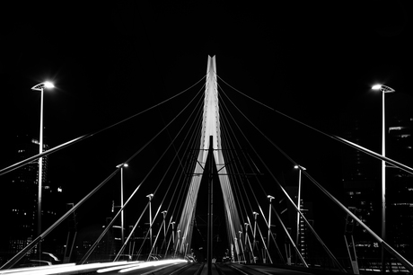 Erasmusbrug Rotterdam