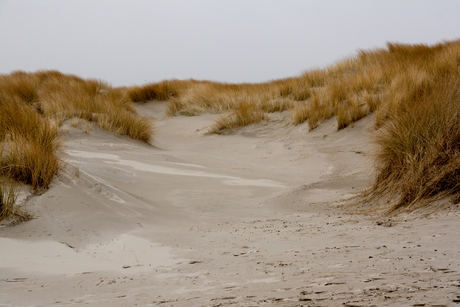 Strand van Terschelling