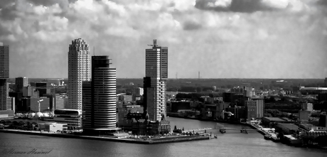 Rotterdam (8)