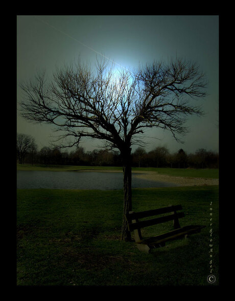 Moonlight shadow ©