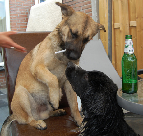 Sigaret, bier en z'n vriendje