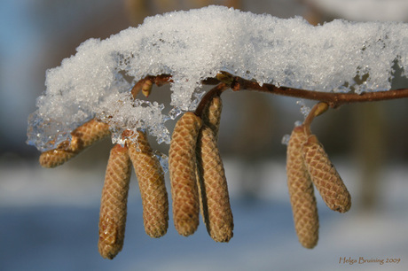 met 'n toefje sneeuw