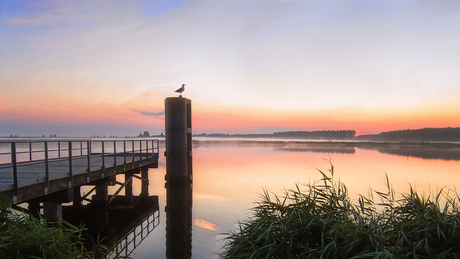 Delfzijl