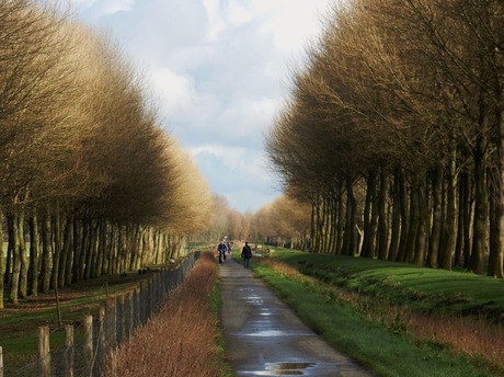 Oud hollands licht