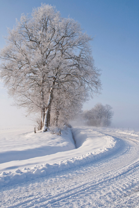 Sneeuw 3 jan.2010