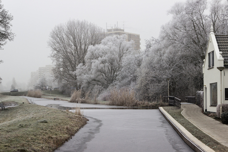 winters Zoetermeer