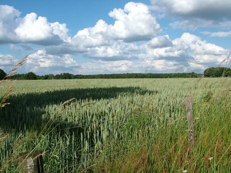 Landschap met wolkenpartij