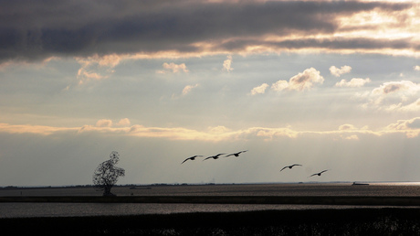 Lelystad: exposure of "de hurkende man" van Antony Gormley