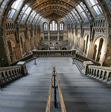 Natural History Museum London