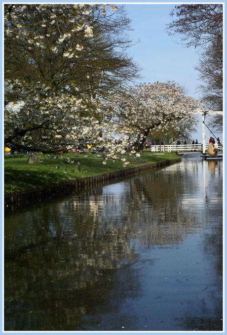 Keukenhof