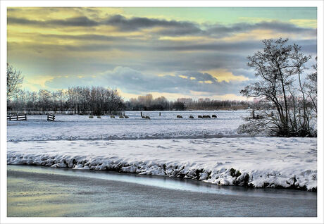 Zoeterwoude/Westeinde