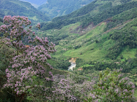 Chilchos valley Peru