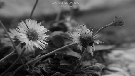 Nothing last forever