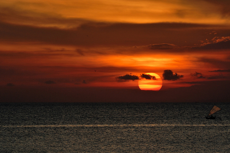 Vroeg en snel donker