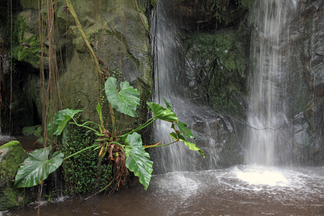 Waterval