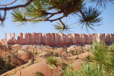 Bryce Canyon in the morning 4