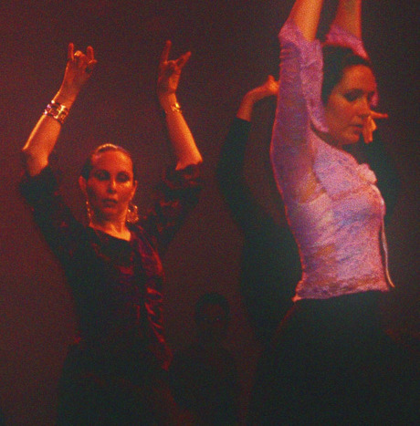 www.flamenco-utrecht.nl