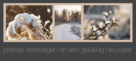 Fijne feestdagen voor iedereen!