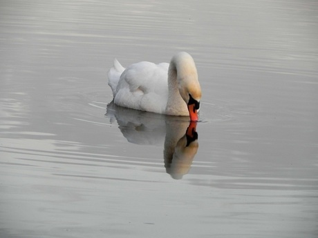 spiegeltje, spiegeltje........