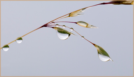 wet jewels